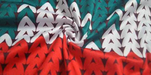 Christmas Pattern Women's Plus Size Two Piece Outfits