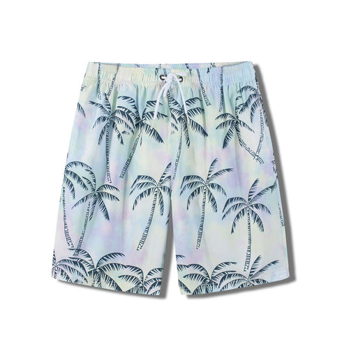 Men's Casual Classic Fit Summer Beach Shorts with Lined