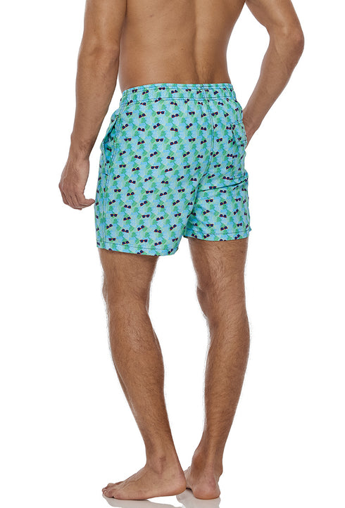Men's Casual Classic Fit Water Resistant Swim Board Shorts