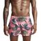 Men's Casual Printed Quick Dry Funny Beach Shorts