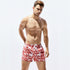 Men's Drawstring Waist Printed Beach Shorts with Pocket