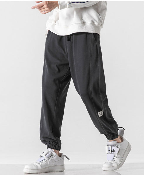 Men's Elastic Waist Fleece-Lined Harem Plus Size Joggers