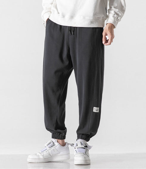 Men's Elastic Waist Fleece-Lined Harem Plus Size Joggers