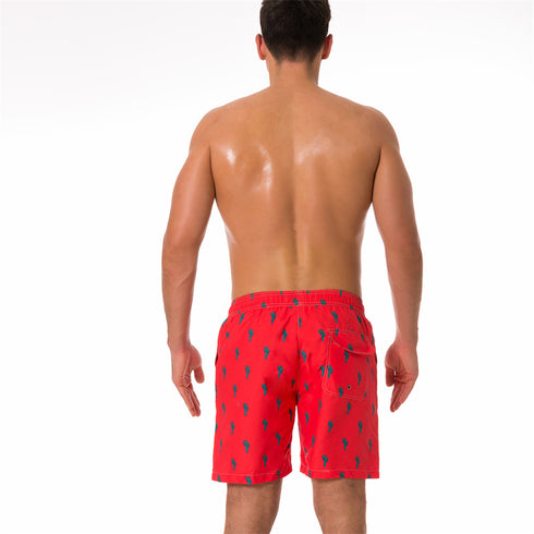 Men's Funny Printed Quick Dry Beach Shorts with Mesh Lining
