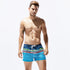 Men's Printed Casual Adjustable Elastic Waist Beach Shorts