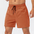 Men's Quick Dry Athletic Hiking Shorts with Lined