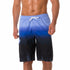Men's Quick Dry Beach Trunks Swimwear with Mesh Lining