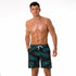 Men's Quick Dry Surf Sailboat Shorts with Elastic Waist
