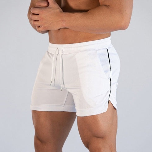 Quick Dry Men's Running Training Workout Mesh Shorts