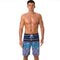 Relaxed Fit Quick Dry Striped Beach Shorts for Men