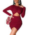 Sexy Crop Long Sleeve Party Bodycon Dress for Women
