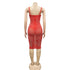 Spaghetti Strap Fluoroscopy Gauze Women's Bodycon Dresses