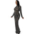 Stylish Fluoroscopy Gauze Women's Long Sleeve Maxi Dresses