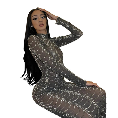 Stylish Fluoroscopy Gauze Women's Long Sleeve Maxi Dresses