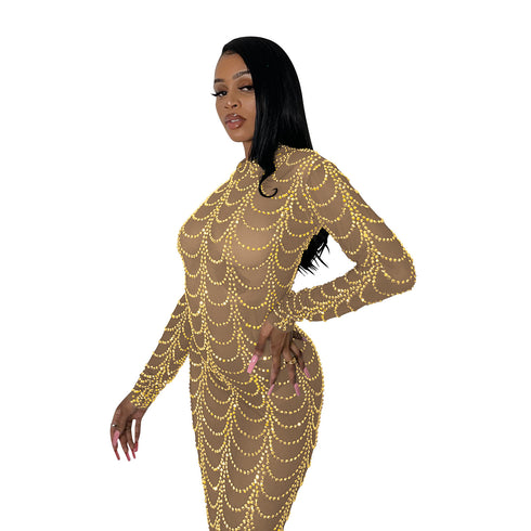 Stylish Fluoroscopy Gauze Women's Long Sleeve Maxi Dresses