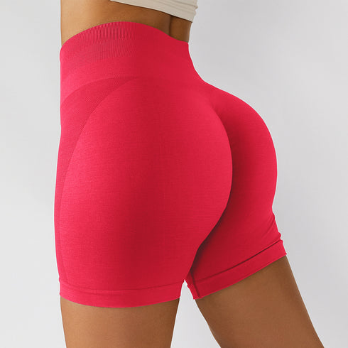 Summer Women's High Waist Running Yoga Fitness Shorts
