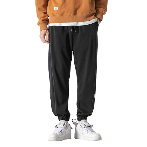 Men's Elastic Waist Fleece-Lined Harem Plus Size Joggers