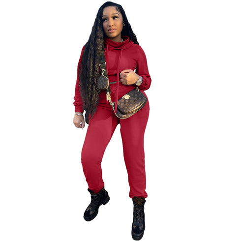 Women's High Neck Hoodie Pants Two Piece Outfit