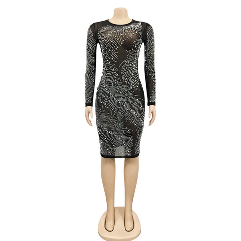 Women's Long Sleeve Fluoroscopy Gauze Sequins Dresses
