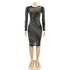 Women's Long Sleeve Fluoroscopy Gauze Sequins Dresses