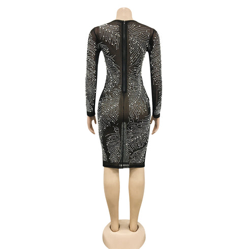 Women's Long Sleeve Fluoroscopy Gauze Sequins Dresses