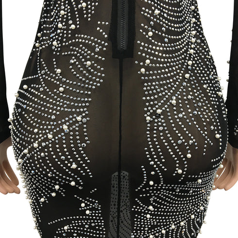 Women's Long Sleeve Fluoroscopy Gauze Sequins Dresses