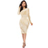 Women's Long Sleeve Fluoroscopy Gauze Sequins Dresses