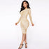 Women's Long Sleeve Fluoroscopy Gauze Sequins Dresses