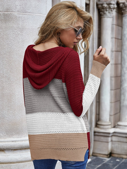 Women's Long Sleeve Hollowed-out knit Sweatshirt Hoodie