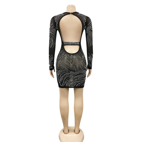 Women's Sexy Fluoroscopy Gauze Long Sleeve Cocktail Dress