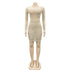 Women's Sexy Fluoroscopy Gauze Long Sleeve Cocktail Dress