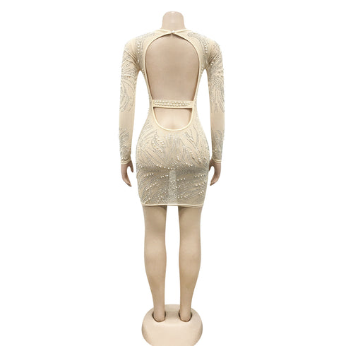 Women's Sexy Fluoroscopy Gauze Long Sleeve Cocktail Dress