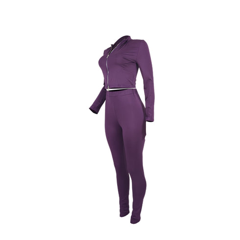 Zip Up Sportswear Women's Fit Two Piece Outfits